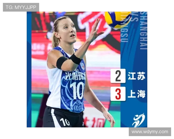 成都排球队与上海排球队对决后的战术分析与节奏探讨