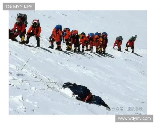 攀登人生的高度与深度:陈丽的攀岩故事与心路历程