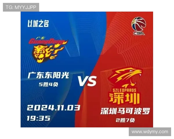 CBA辽宁队与深圳队激战精彩比分揭晓赛季对决引发热议